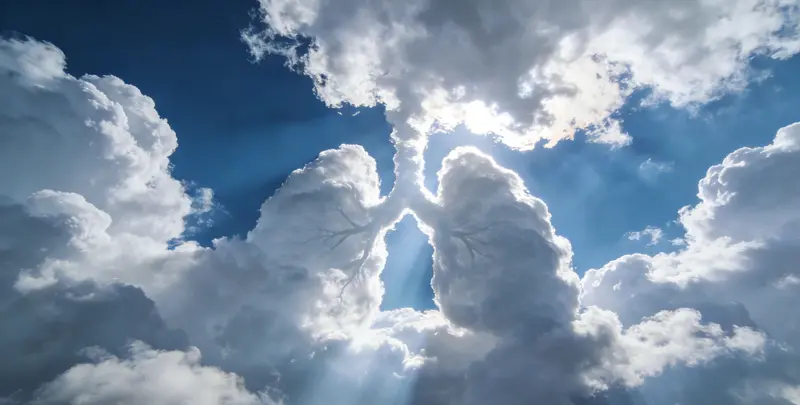 洛阳肺癌靶向120基因检测及PDL122C3表达检测套餐（组织）图片1