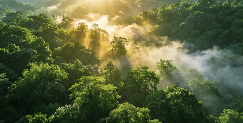 洛阳肺癌8基因突变检测（组织）图片1